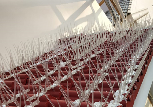 Balcony Safety Nets in Thiruvananthapuram